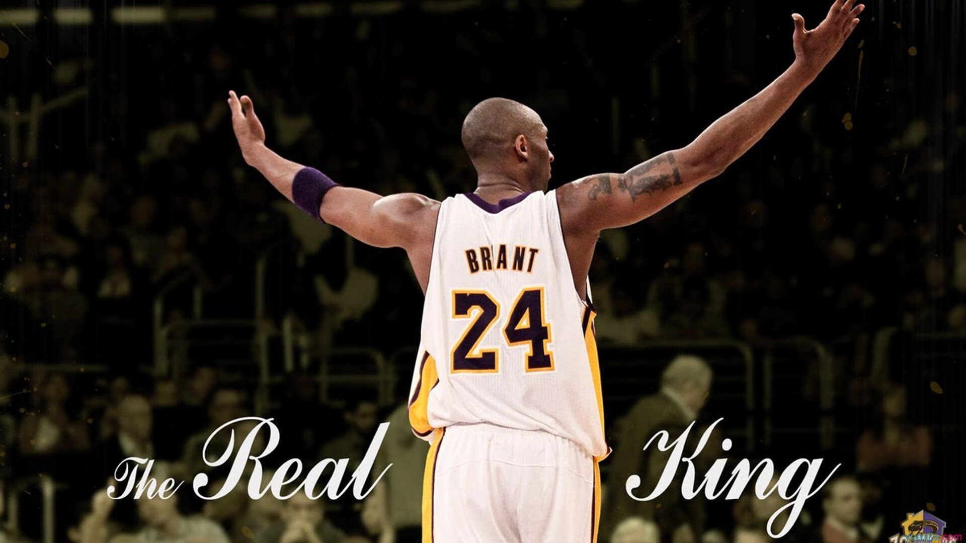 开云体育充值-“游泳项目聚焦！2025世界游泳锦标赛，谁将创造新纪录？”