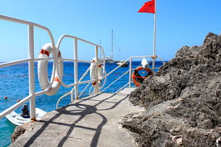 开云体育平台-海湾者未来青训体系逐渐完善，海湾技术